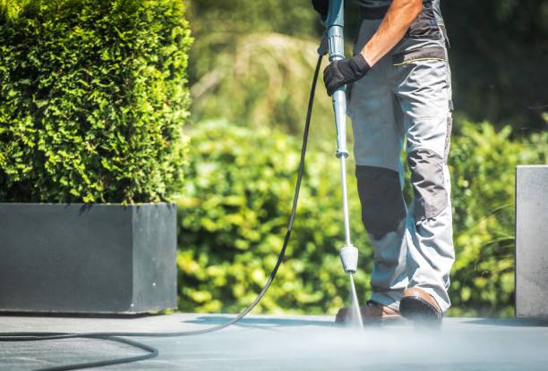 Best Driveway Pressure Washing  in New London, MN