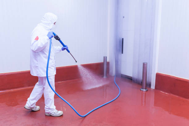Best Post-Construction Pressure Washing  in New London, MN