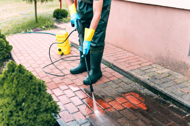 Best House Exterior Washing  in New London, MN