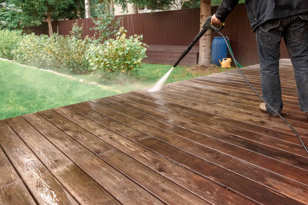 Best Fence Cleaning  in New London, MN