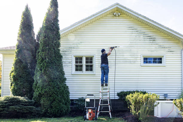 Pre-Holiday Cleaning in New London, MN